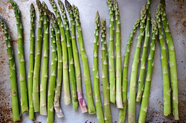 asparagus | HonestlyYum