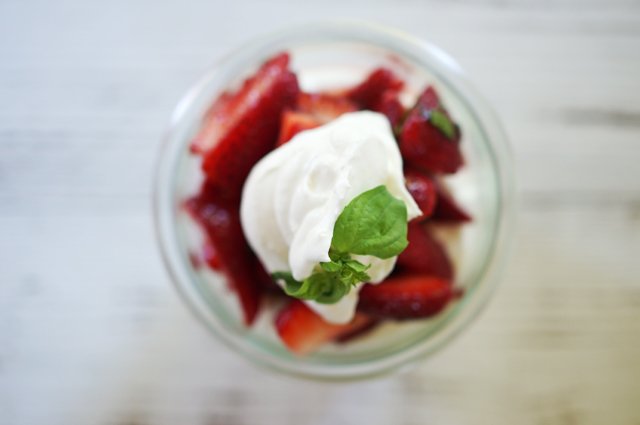 strawberry shortcake 12