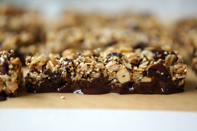 Trail mix bars dipped in dark chocolate