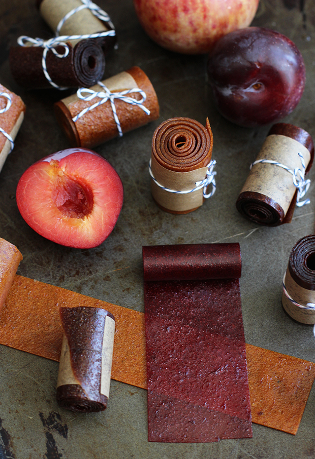 Dehydrating Apricots, Apricot Fruit Leather & Apricot Salsa