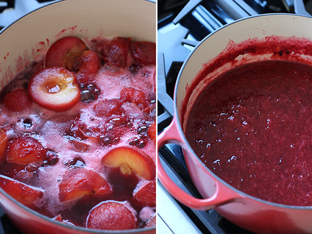 Homemade Fruit Roll-Ups — Broke and Cooking