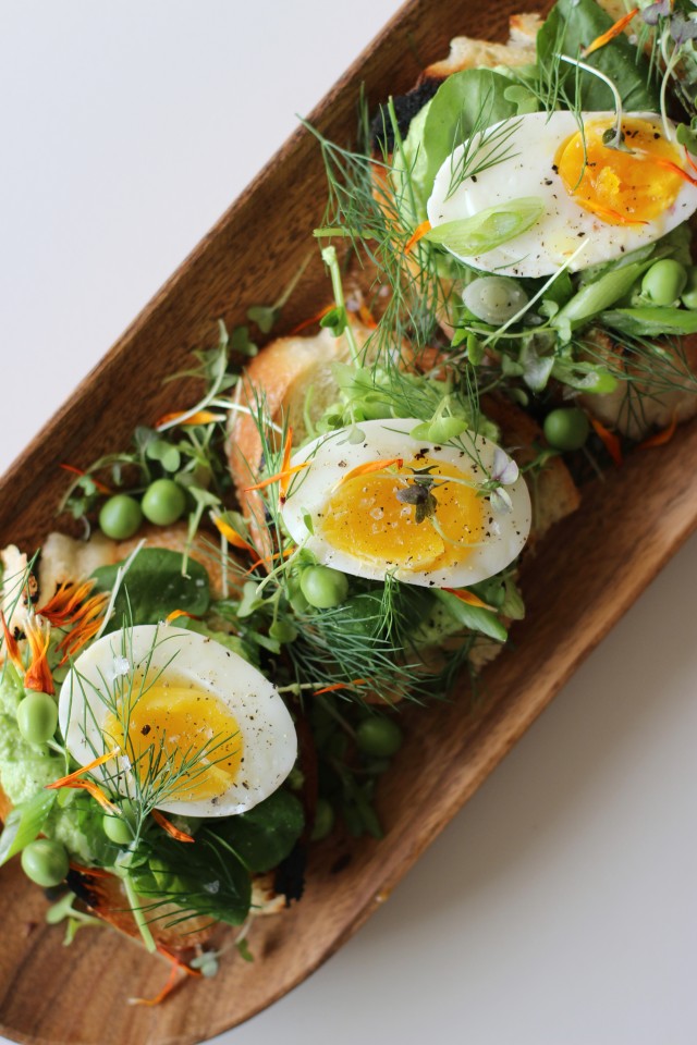 Egg Tartines | HonestlyYUM