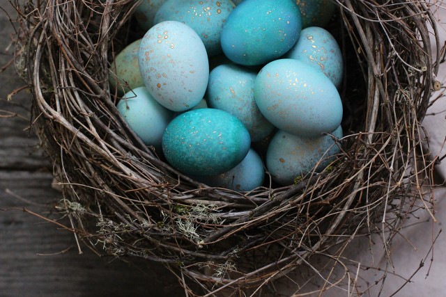 DIY Dyed Robin Eggs | HonestlyYUM