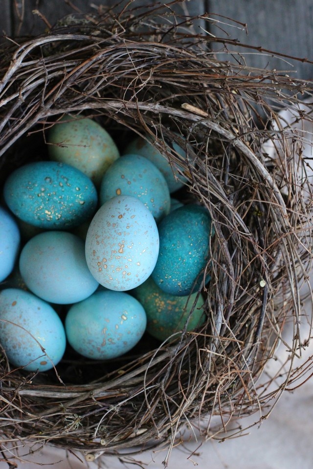 DIY Dyed Robin Eggs | HonestlyYUM