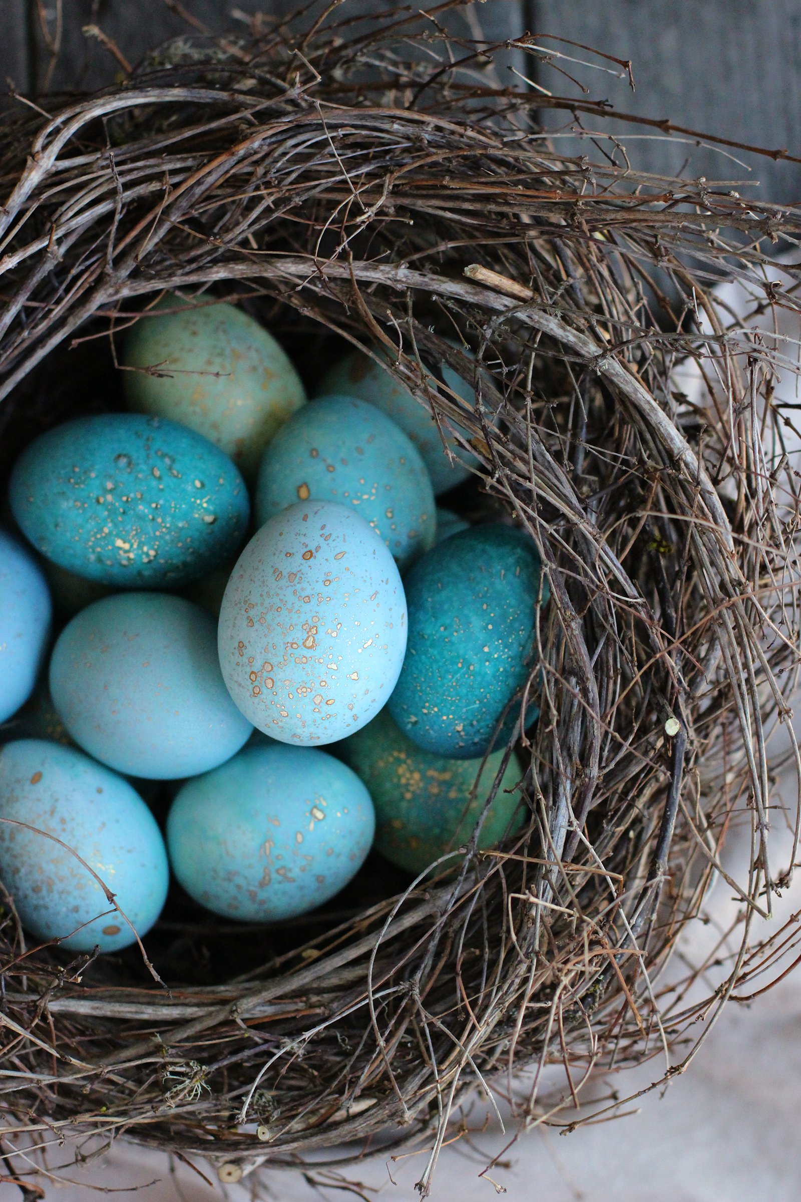 DIY tutorial for a Spring Nest with handmade Robins Eggs using