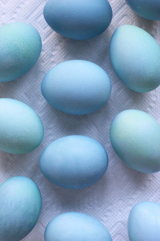 DIY Dyed Robin Eggs | HonestlyYUM