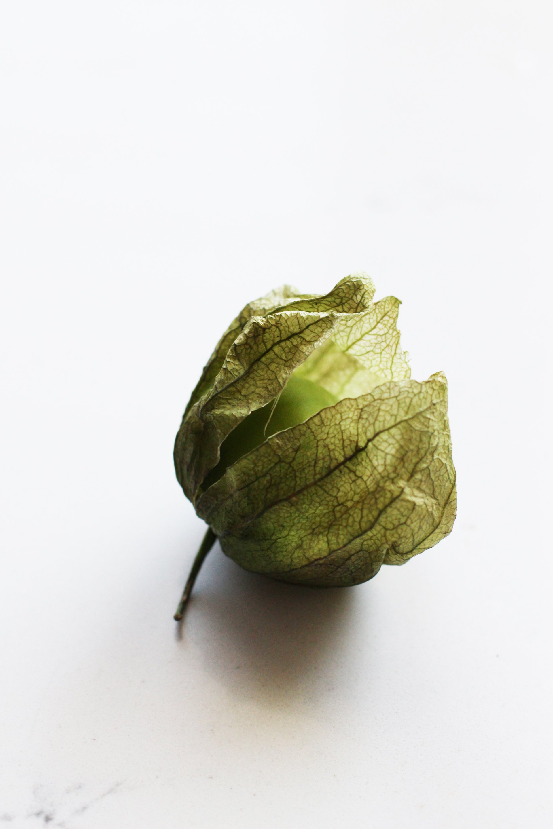 Tomatillo | HonestlyYUM