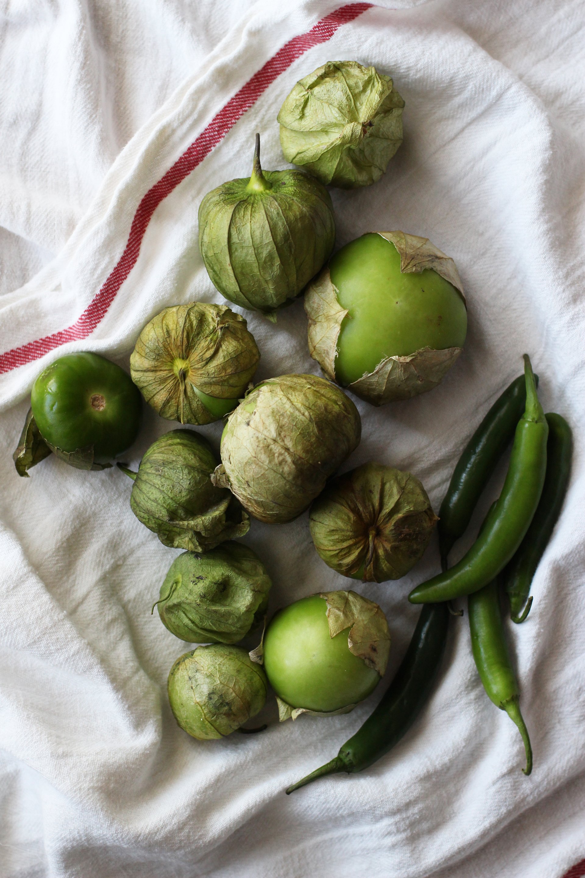 Tomatillos | HonestlyYUM