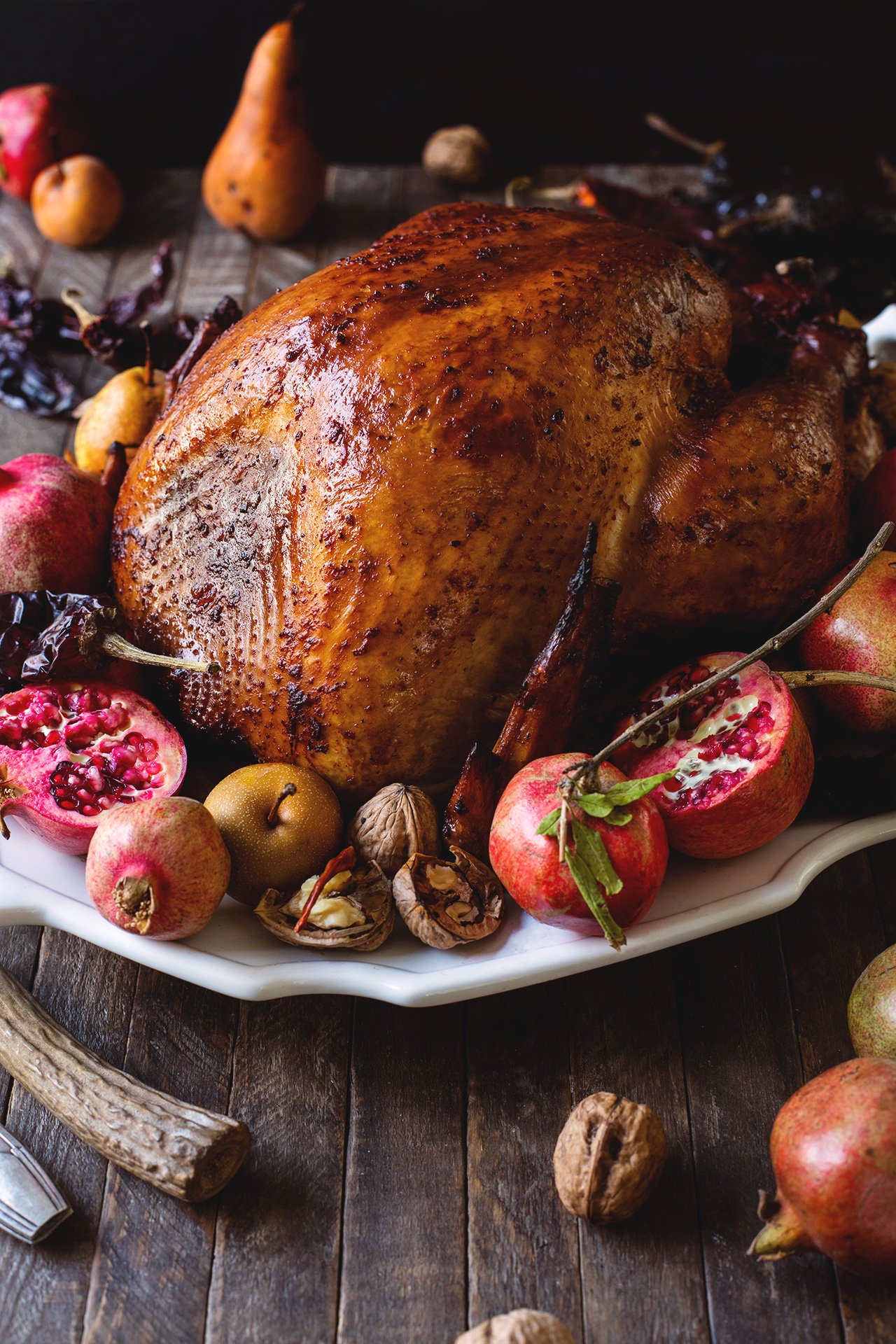 Chile-Rubbed Thanksgiving Turkey – HonestlyYUM