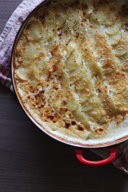 Potato, Bacon and Leek Gratin – HonestlyYUM