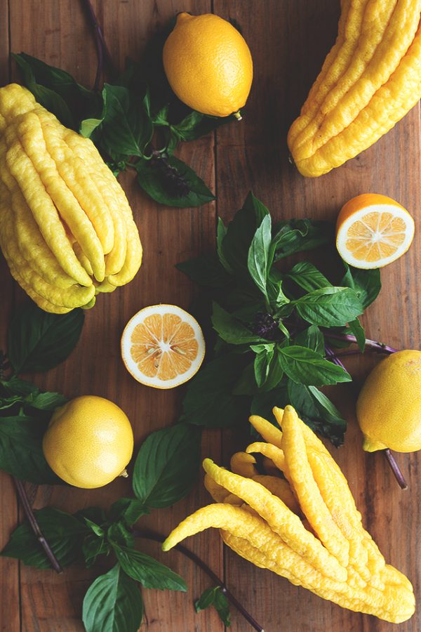 Buddha’s Hand and Thai Basil Cocktail HonestlyYUM