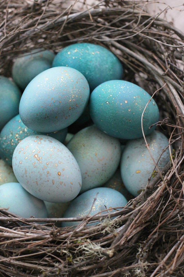 DIY Dyed Robin Eggs | HonestlyYUM