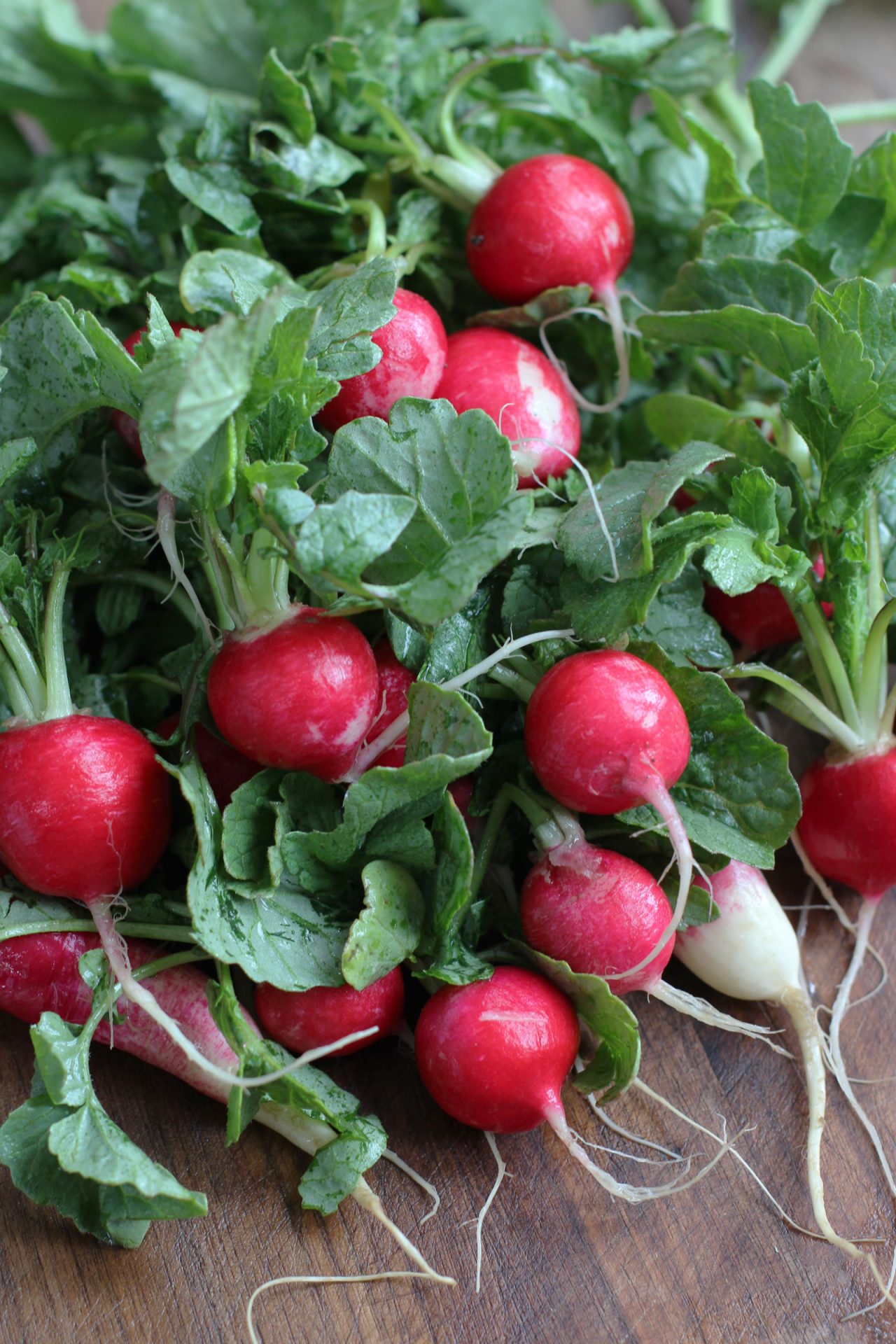 Butter Dipped Radishes HonestlyYUM