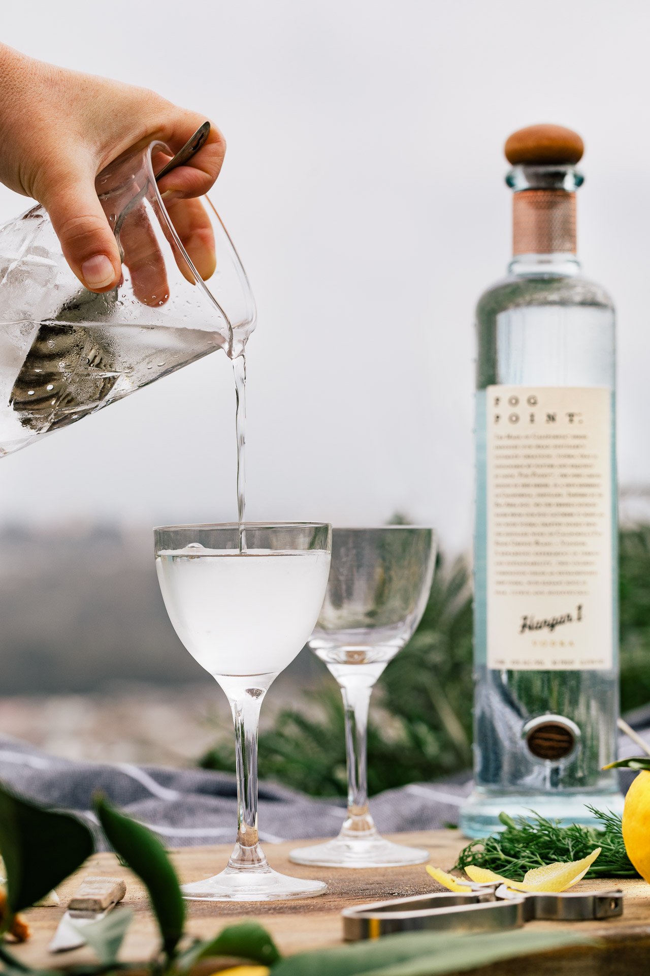 Fog Point Vodka Martini | HonestlyYUM (honestlyyum.com)