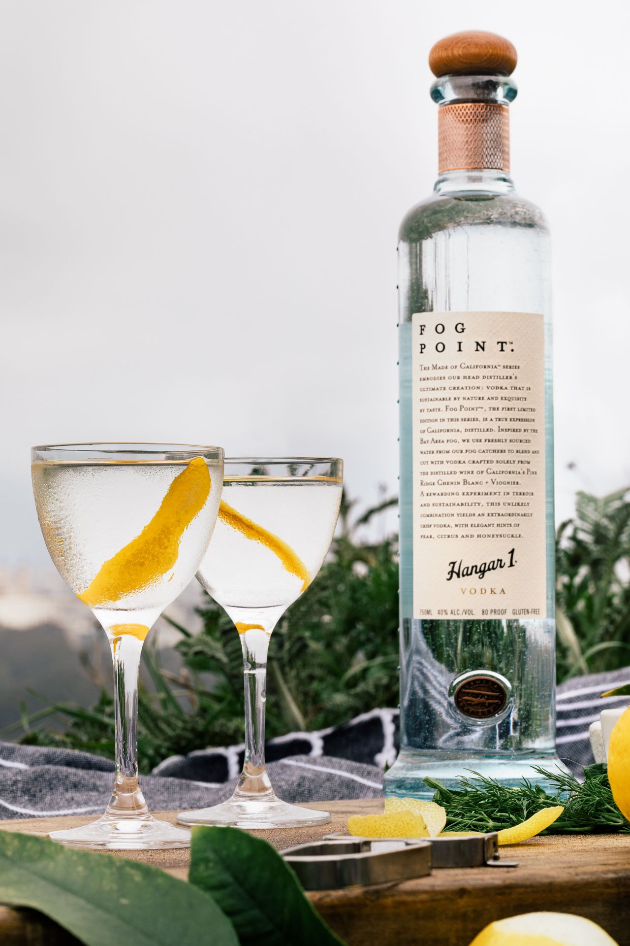 Fog Point Vodka Martini | HonestlyYUM (honestlyyum.com) | @Hangar1Vodka and #Hangar1Vodka and #FogPointVodka