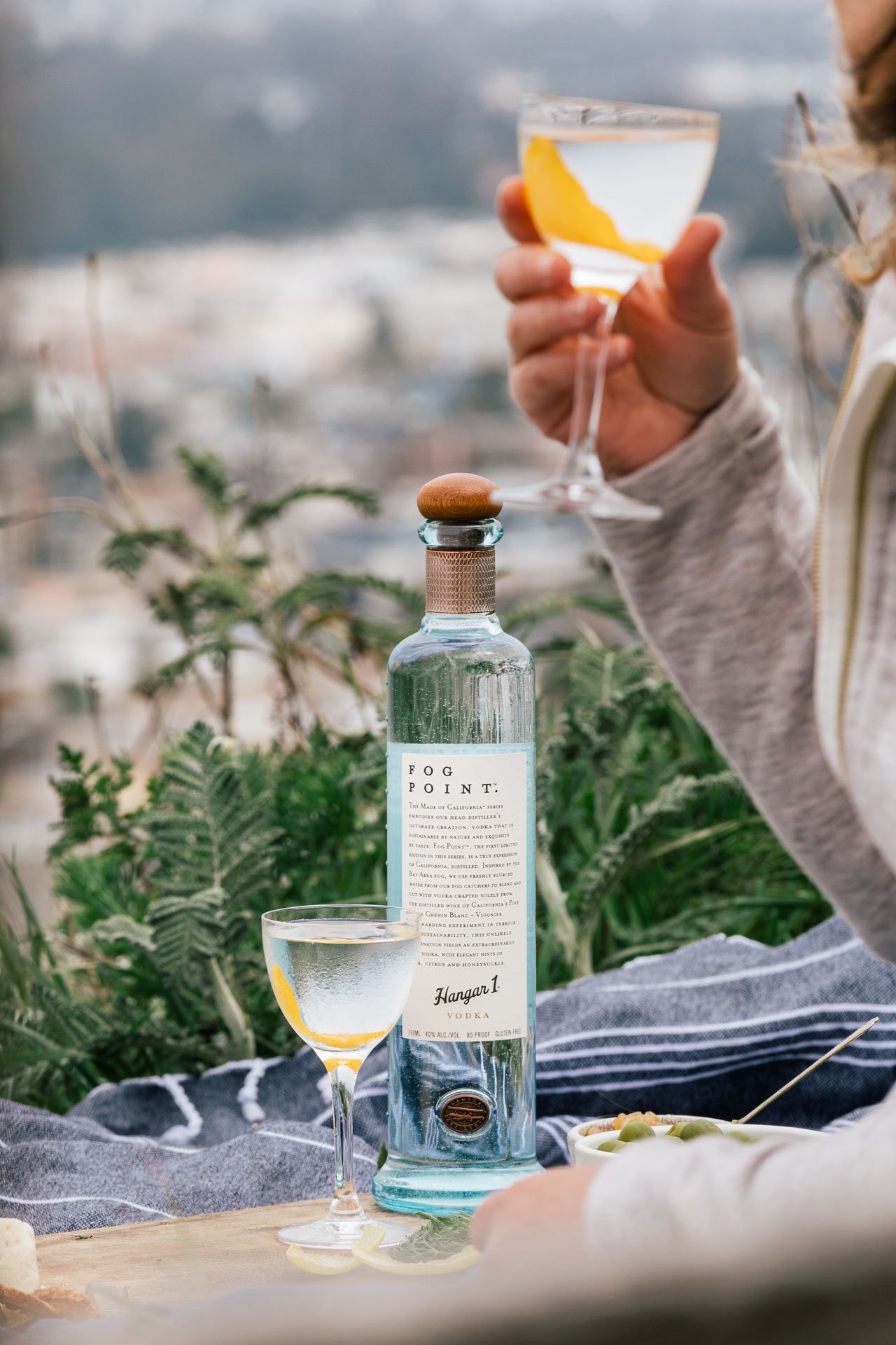 Fog Point Vodka Martini | HonestlyYUM (honestlyyum.com)