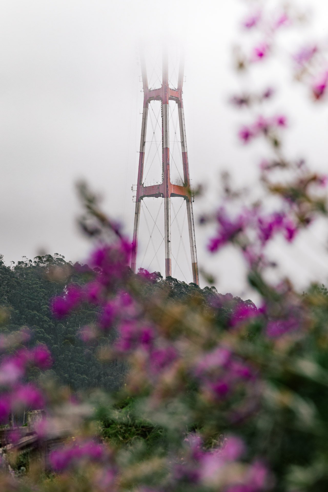 Sutro Tower | HonestlyYUM (honestlyyum.com)