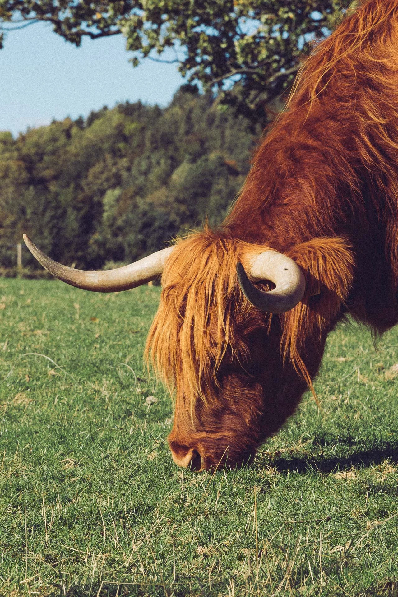 Lake District, England | Travel Guide by HonestlyYUM