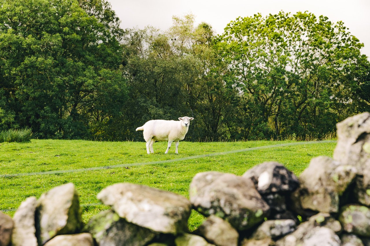 Lake District, England | Travel Guide by HonestlyYUM